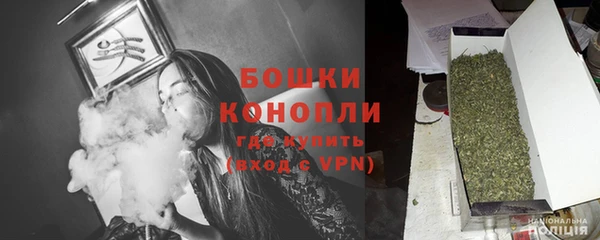 дмт Гатчина