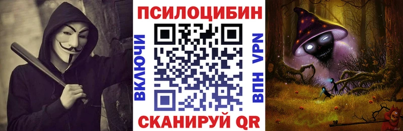 Галлюциногенные грибы Psilocybe  Старый Оскол 