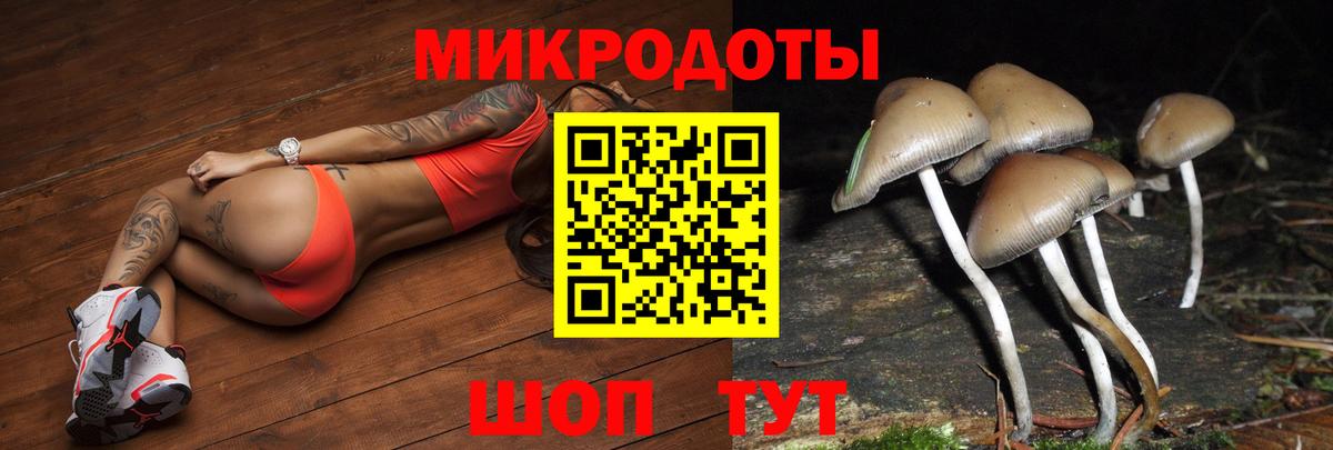 Псилоцибиновые грибы MAGIC MUSHROOMS Старый Оскол